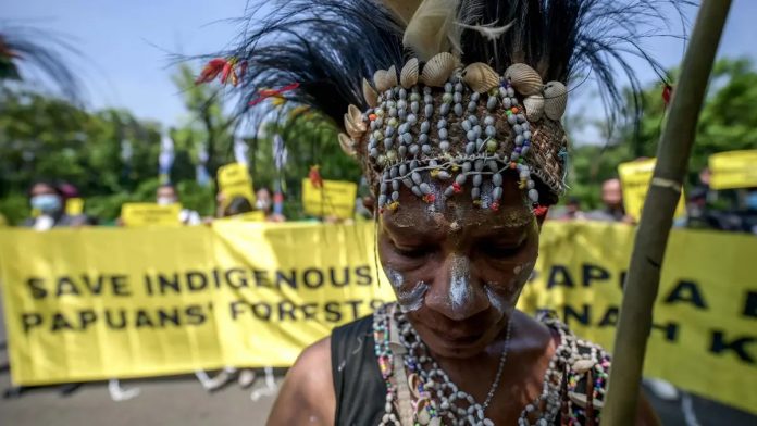 Datangi Gedung Mahkamah Agung, Suku Adat Awyu dan Moi Minta Konsesi Perusahaan Kelapa Sawit Dicabut - Dok
