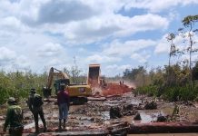 Ancaman Perampasan Hak dan Penghancuran Hutan Adat di Merauke