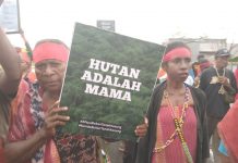 Masyarakat Adat Tehit Tolak Perkebunan Sawit PT Anugerah Sakti Internusa di Sorong Selatan