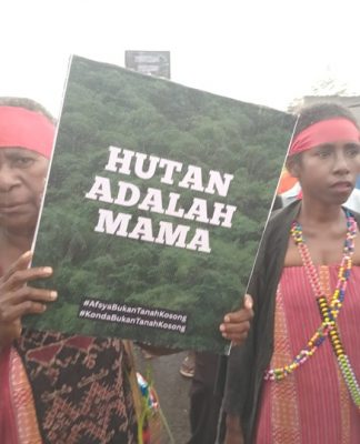 Masyarakat Adat Tehit Tolak Perkebunan Sawit PT Anugerah Sakti Internusa di Sorong Selatan