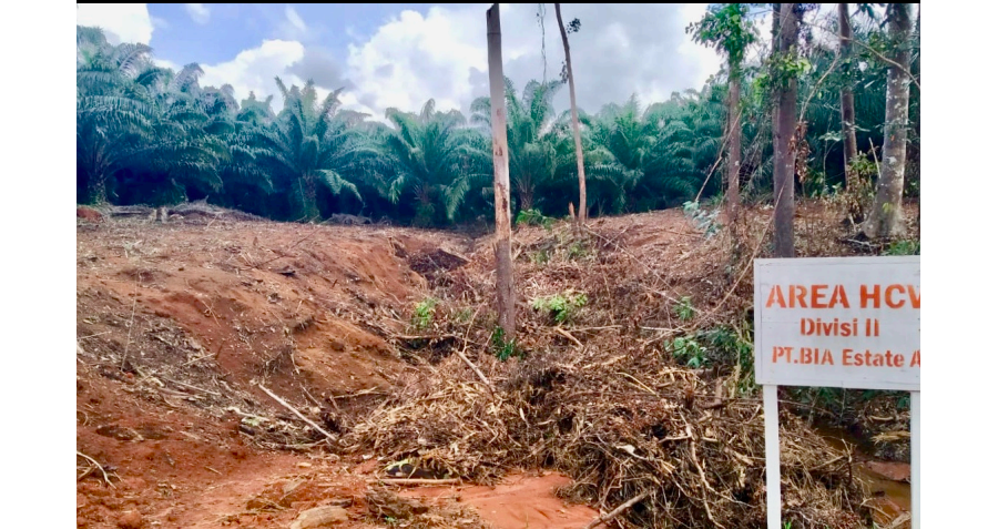 Laporan Kasus Penggusuran Tempat Keramat “Yawontop” Masyarakat Adat Malind dan Wambon Tekamerop
