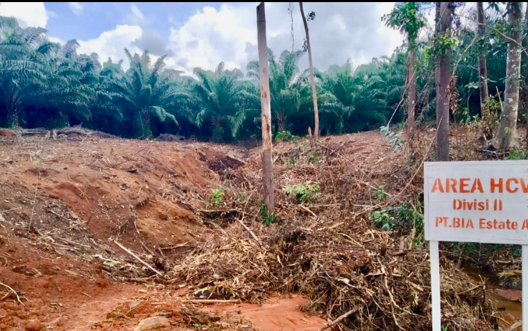 Laporan Kasus Penggusuran Tempat Keramat “Yawontop” Masyarakat Adat Malind dan Wambon Tekamerop